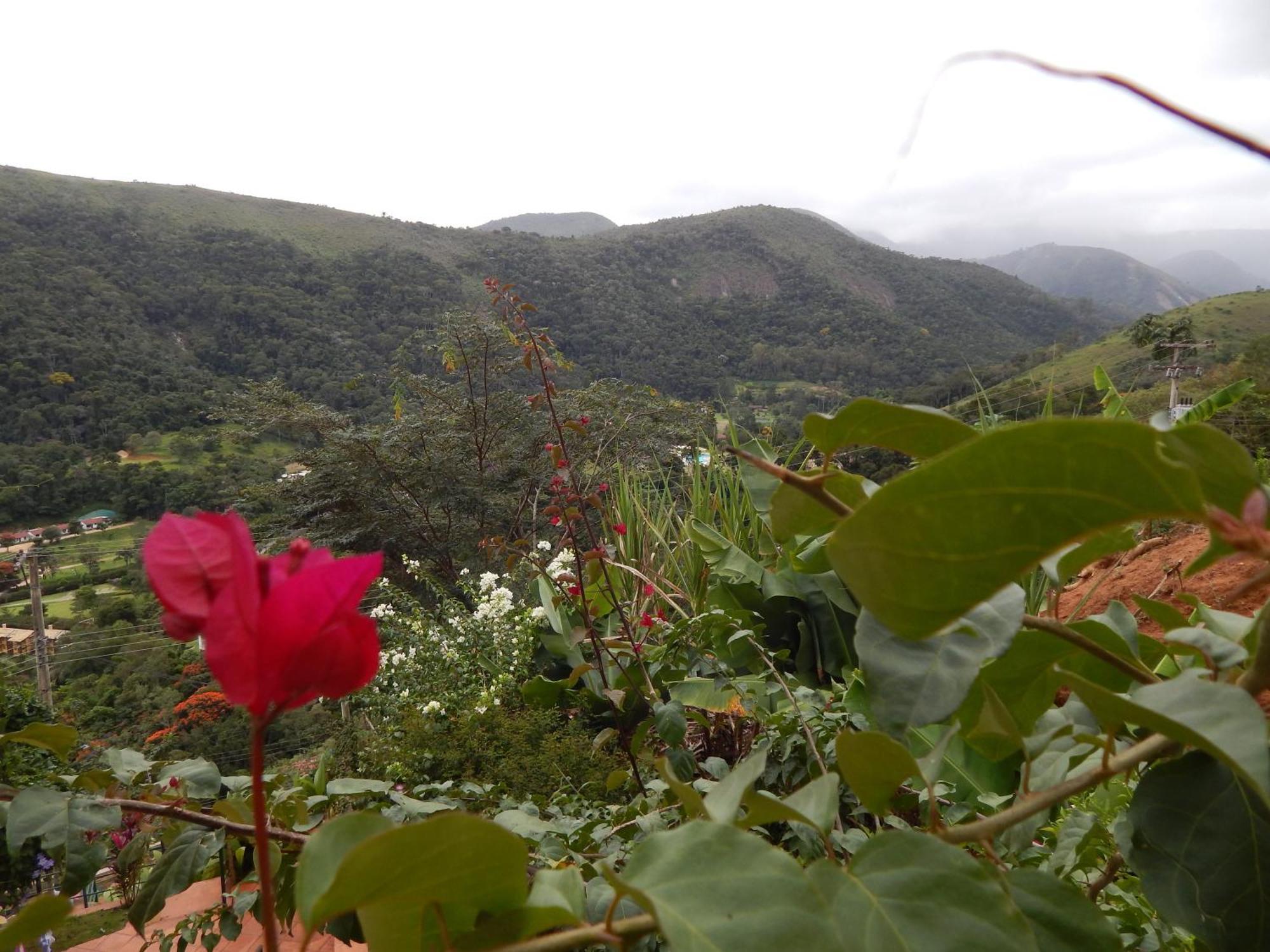 Pousada Quinta Do Alto Itaipava Rum bild